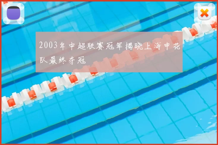 2003年中超联赛冠军揭晓上海申花队最终夺冠
