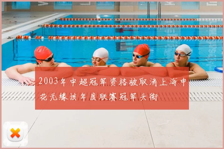 2003年中超冠军资格被取消上海申花无缘该年度联赛冠军头衔