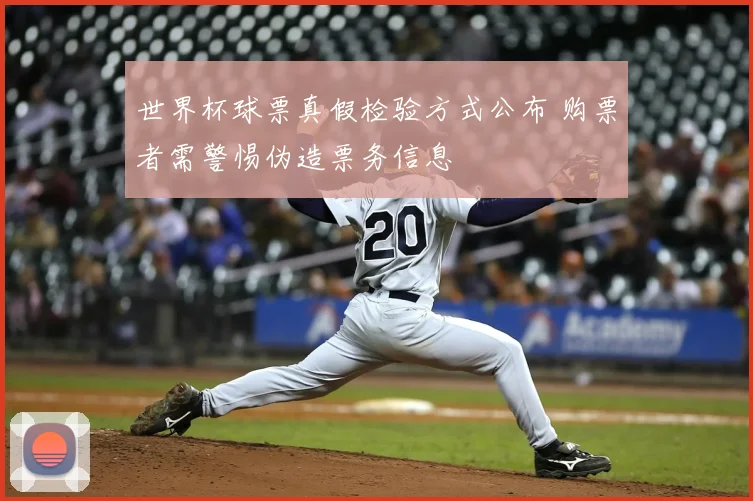 世界杯球票真假检验方式公布 购票者需警惕伪造票务信息