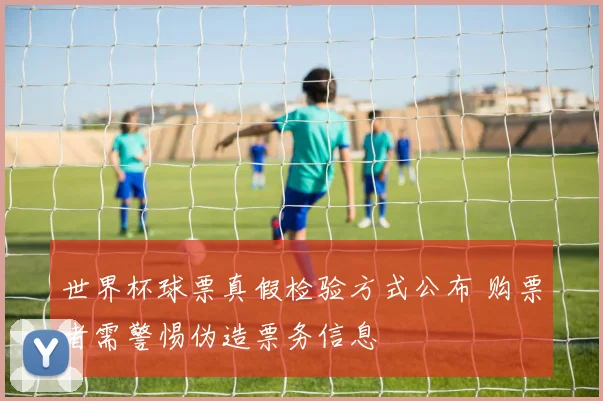 世界杯球票真假检验方式公布 购票者需警惕伪造票务信息