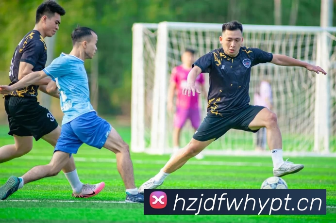 数据防护可视化